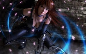 DEAD OR ALIVE 5: Last Round มาแน่บน PC