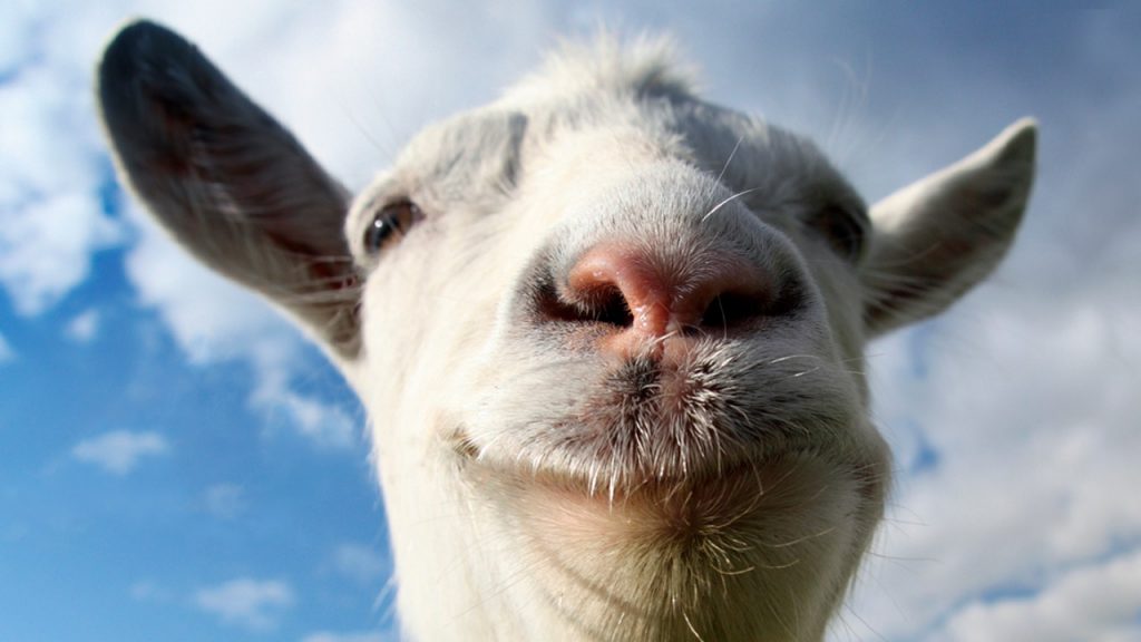 ถ้าผมเล่น...ผมจะเป็น... 9 goats
