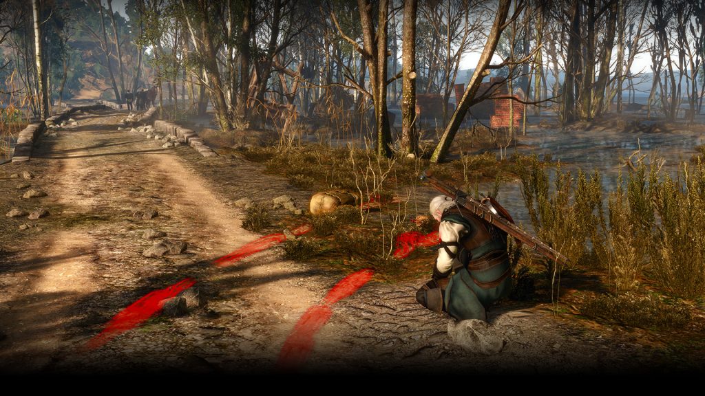 the witcher 3 dd