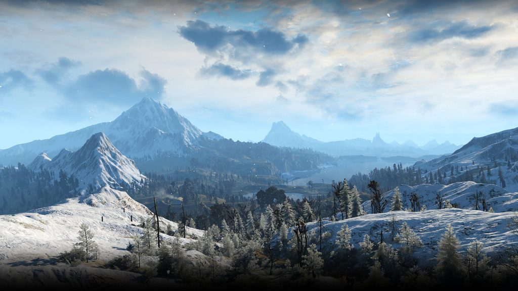 the witcher 3 f