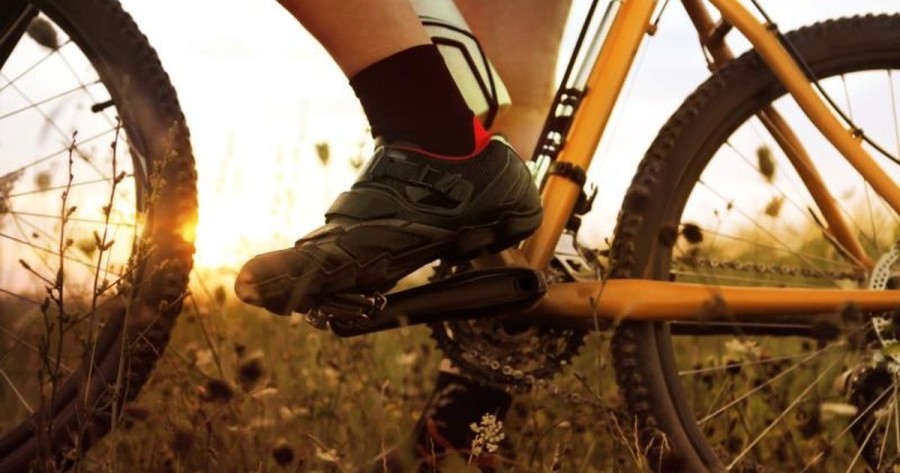 bicycle shoes running