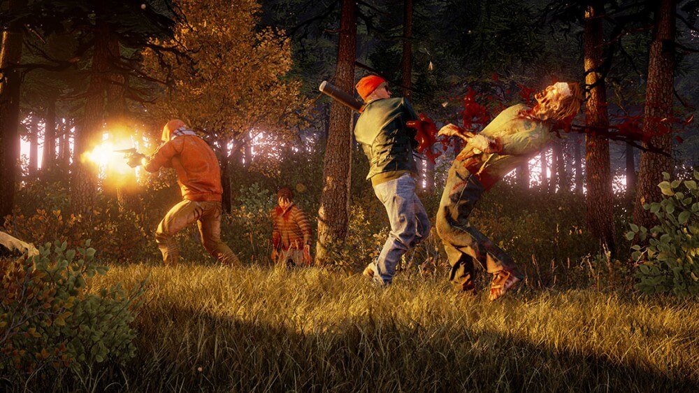 state of decay 2
