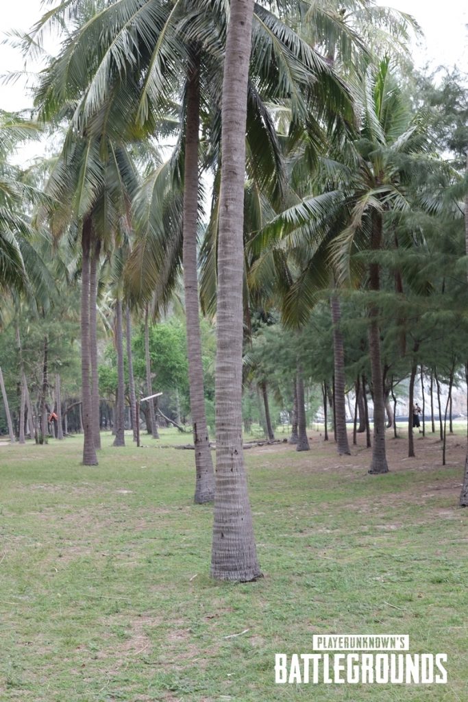 pubg thailand