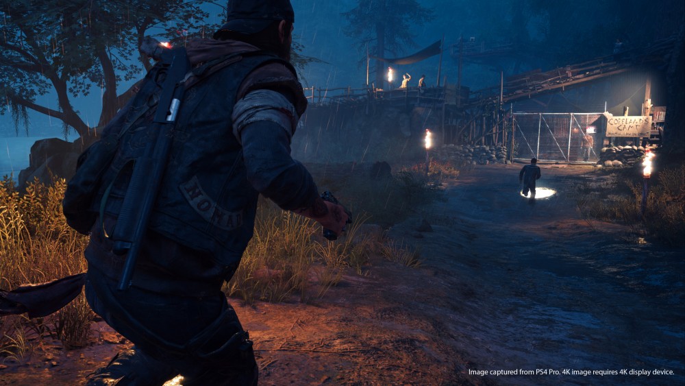 Days Gone Screen 4