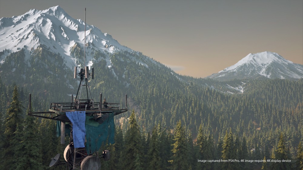 Days Gone Screen 8