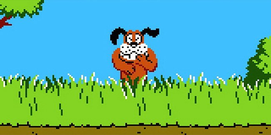 Duck Hunt