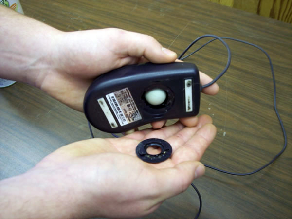 mouse ball