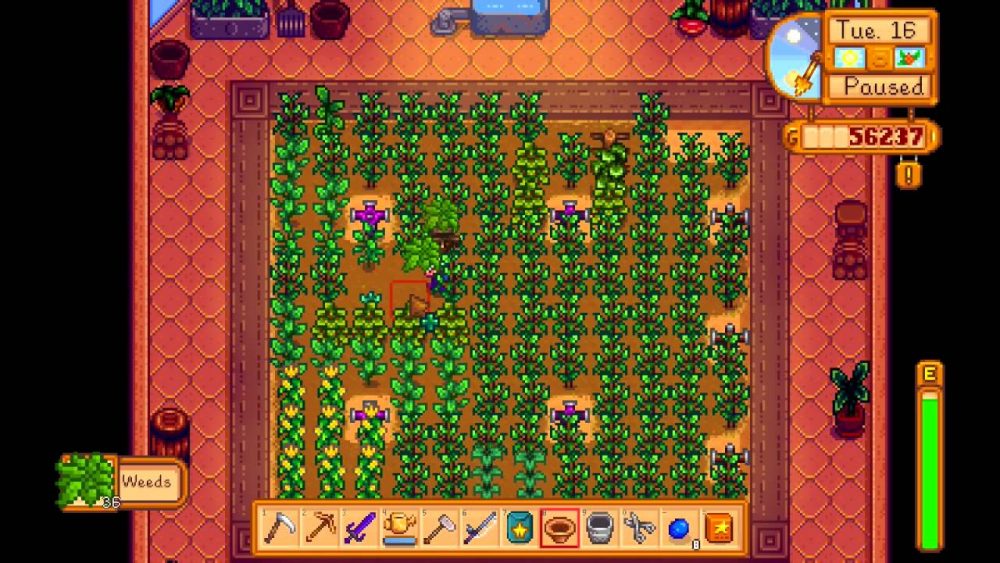 ชาวม็อดมือดี เพิ่มใบกัญชาสามารถปลูกและขายได้ในเกม Stardew Valley 3 stardew valley