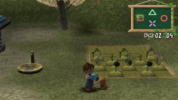 Harvest Moon A Wonderful Life Special Edition PS4 Announcement Screenshot 1 1