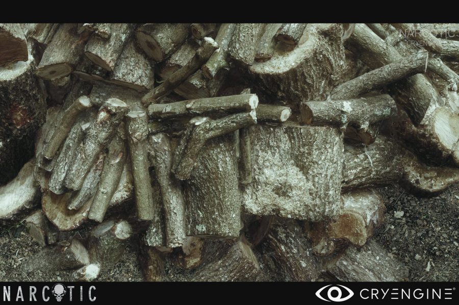 RTX 2080 Ti มีหนาว ! มาดูความเทพของกราฟิกจาก CRYENGINE เวอร์ชั่นใหม่ล่าสุด 5 cryengine4