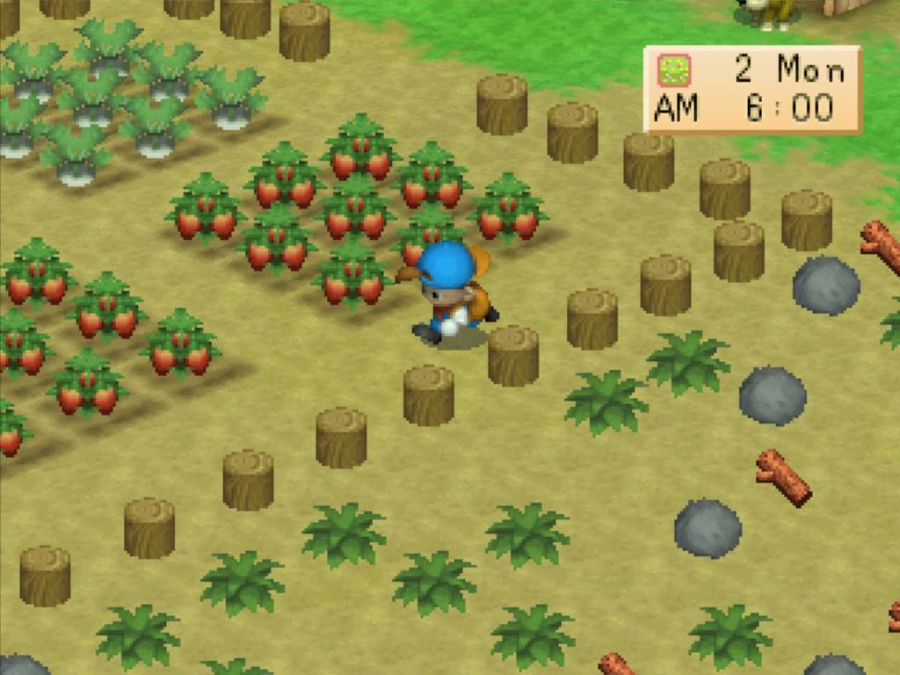 harvest moon 01