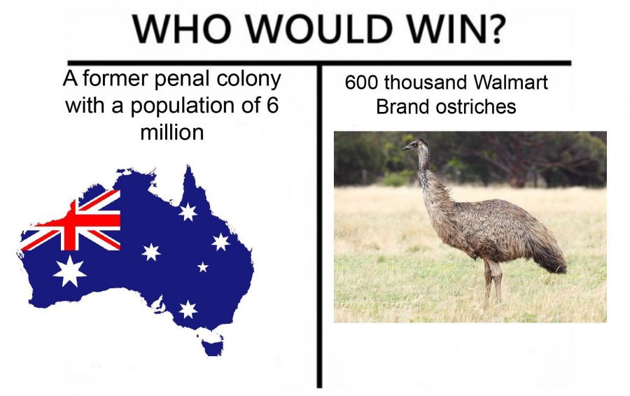 Emu War