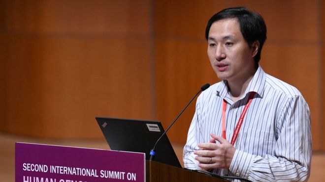Gene Edited Embryo 1