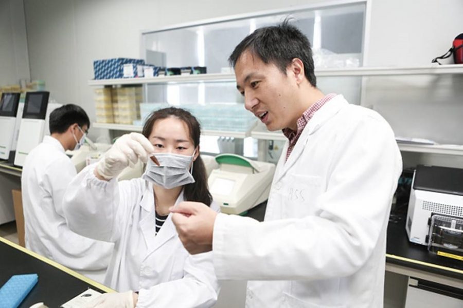 Gene Edited Embryo 2
