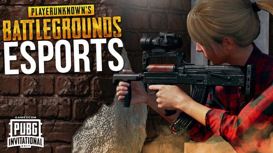 pubg213151135