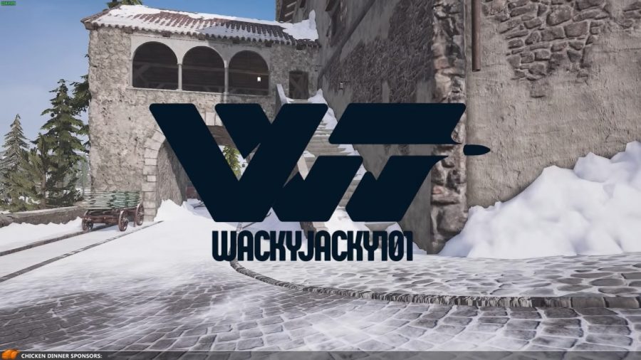 pubg21351354654654684