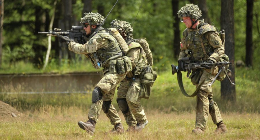 denmark army