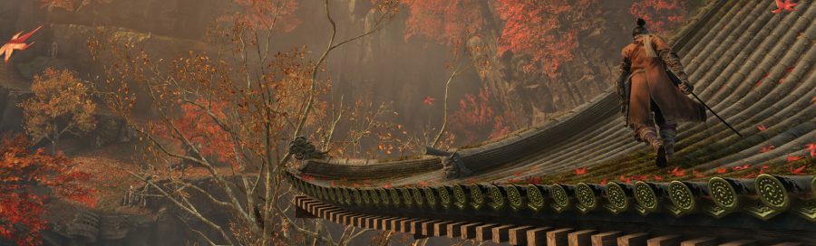firstim sekiro 02
