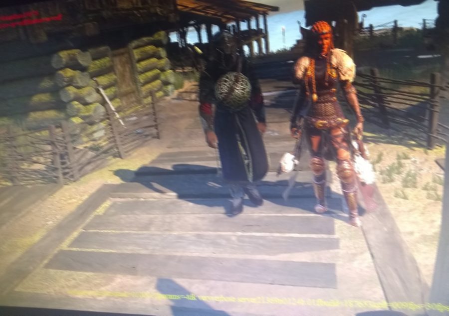 assassins creed ragnarok 06