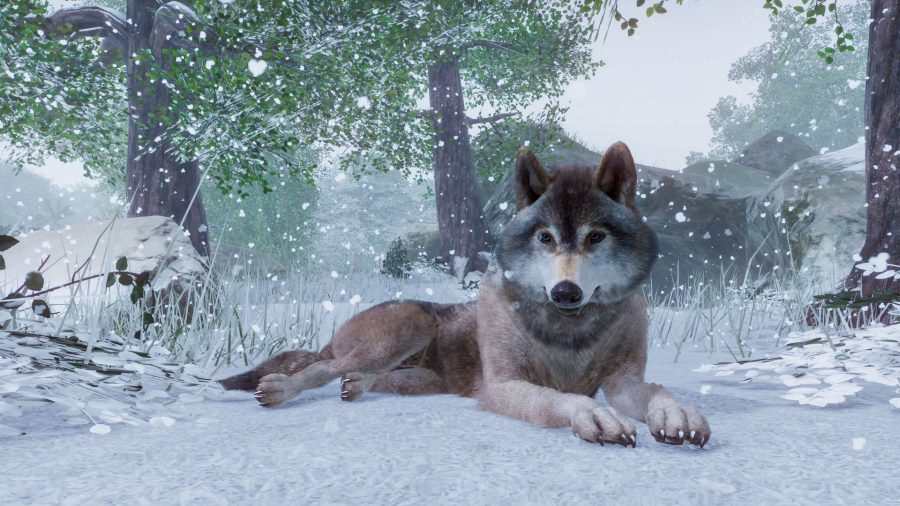 6 เกมสร้างสวนสนุกหรรษา ปลุกพลังจินตนาการในตัวคุณ 4 planet zoo1