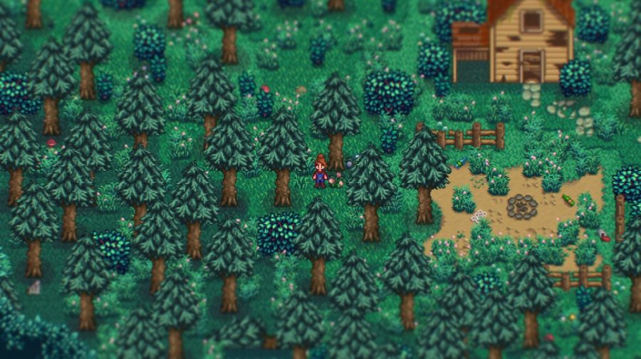 Stardew Valley