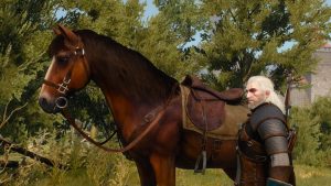 Netflix เผยภาพถ่าย Roach ม้าคู่ใจของ Geralt ใน The Witcher ฉบับซีรีส์