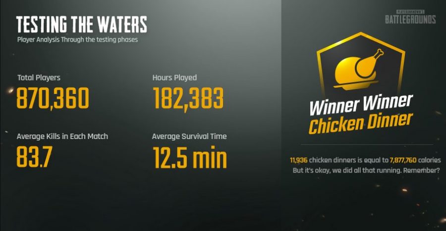 pubg21321321315
