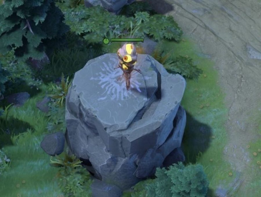 วิธีดู Esports ฉบับคนไม่เคยเล่นเกม (MOBA) 12 ward