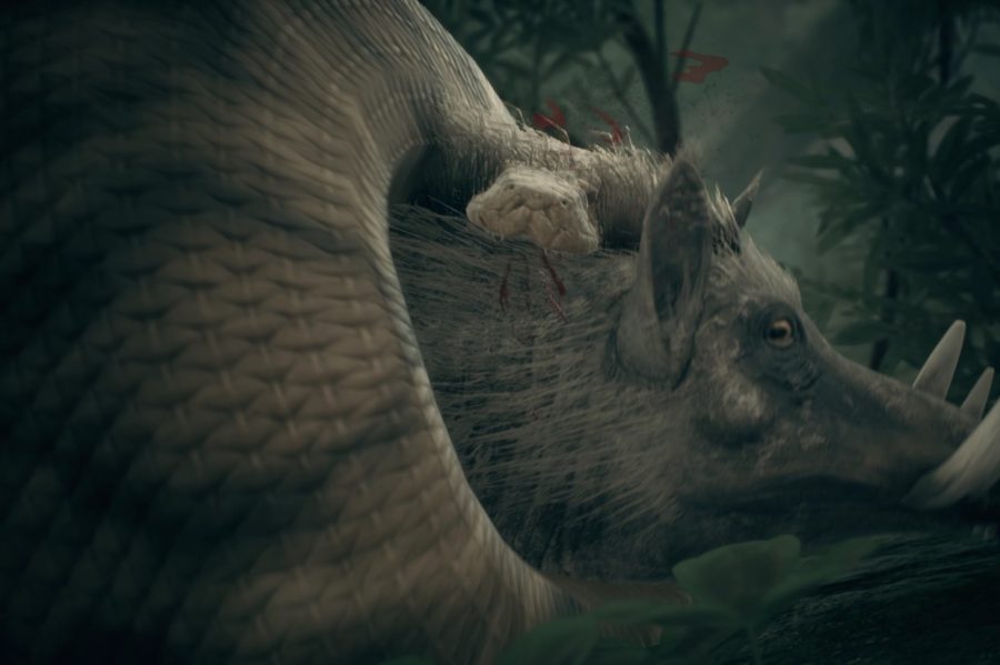 Ancestors2