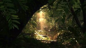 Crytek เปิดตัว Engine เวอร์ชั่นใหม่ พร้อมภาพปริศนาที่อาจจะเป็น Crysis Remaster