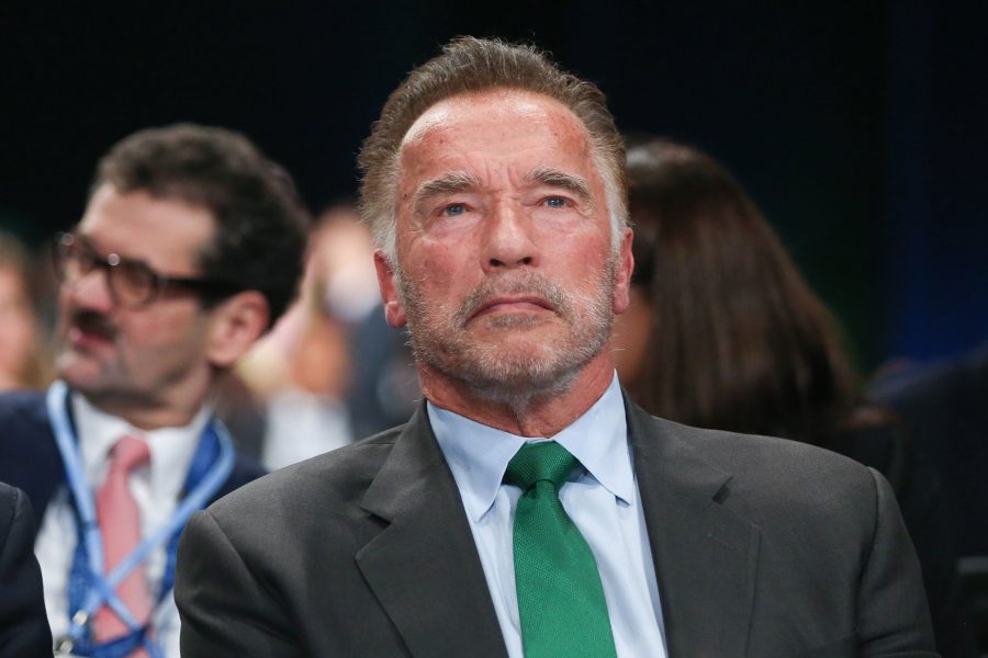 arnold schwarzenegger g
