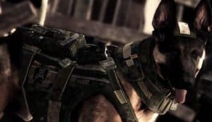 Operator คนใหม่ของ Rainbow Six Siege อาจมีสุนัข K9 เป็นผู้ช่วย