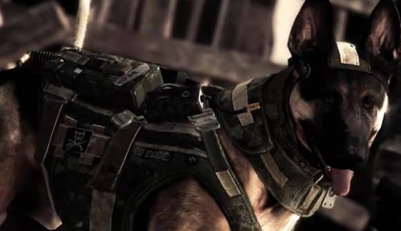Operator คนใหม่ของ Rainbow Six Siege อาจมีสุนัข K9 เป็นผู้ช่วย 1 call of duty ghosts riley