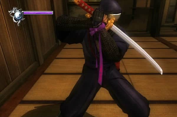 Ninja Gaiden