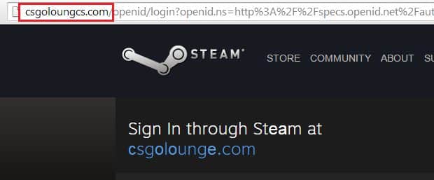 steam 