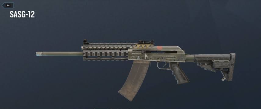 sasg12