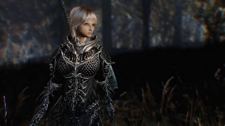 skyrim 04