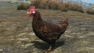 ผู้พัฒนาสร้างม็อด The Elder Scrolls V: Skyrim ให้ผู้เล่นสามารถสังเวยชีวิตไก่เพื่อแลกกับบัฟ