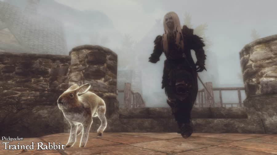 10 ม็อด The Elder Scrolls V: Skyrim ช่วยเปลี่ยนประสบการณ์การเล่นให้ไม่เหมือนเดิม 6 Skyrim