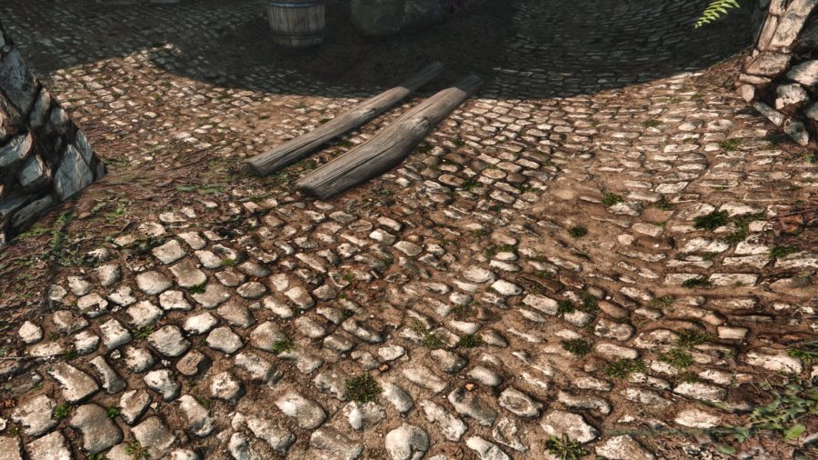 Skyrim Texture MOD