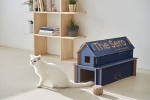 Samsung เปลี่ยนหีบห่อสินค้าทีวีใหม่ ให้ง่ายต่อการใช้ซ้ำและทำบ้านน้องแมว