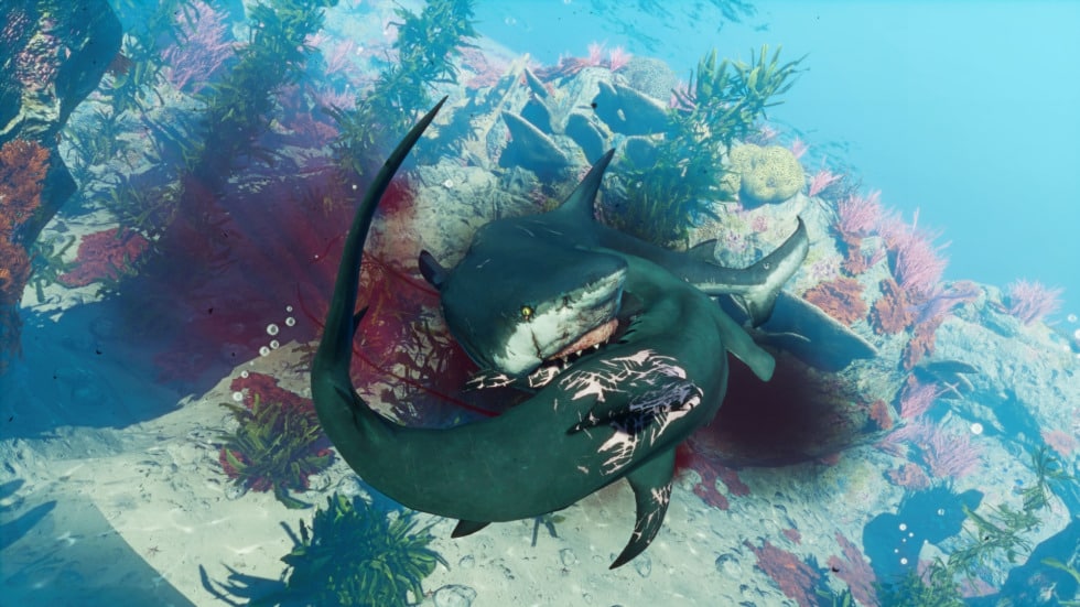 สวมบทฉลามไล่กินคนในเกมโลกเปิดและเรียนรู้ระบบเบื้องต้นของเกม Man Eater 4 3