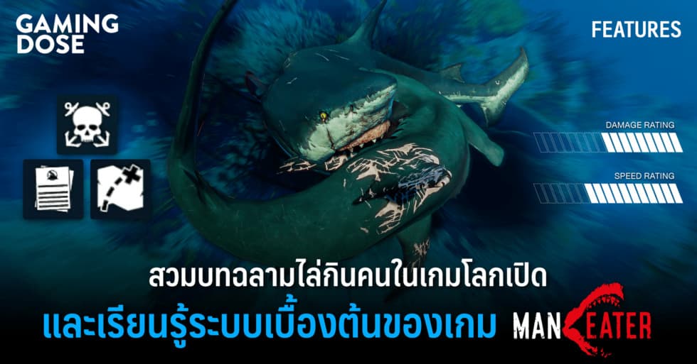 สวมบทฉลามไล่กินคนในเกมโลกเปิดและเรียนรู้ระบบเบื้องต้นของเกม Man Eater 1 สวมบทฉลามไล่กินคน WEB