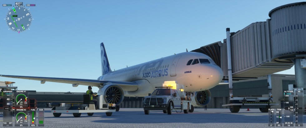 Microsoft Flight Simulator 1 1
