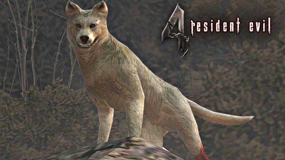 'สุนัข' พันธมิตรในบ้าน กับเหตุผลสำคัญ ทำไมมันต้องอยู่ในเกม 5 maxresdefault 3