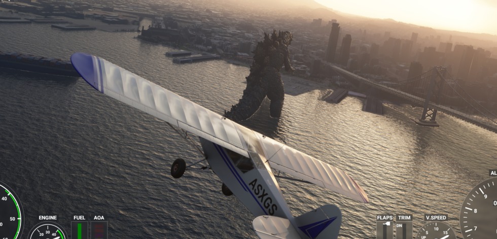 Flight Simulator