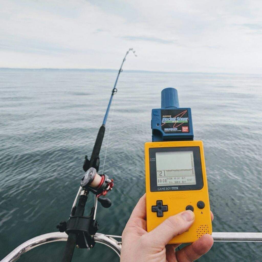 7 อุปกรณ์เสริมสำหรับเล่นเกมสุดประหลาดจากแดนญี่ปุ่น 2 Nintendo Game Boy Pocket Sonar