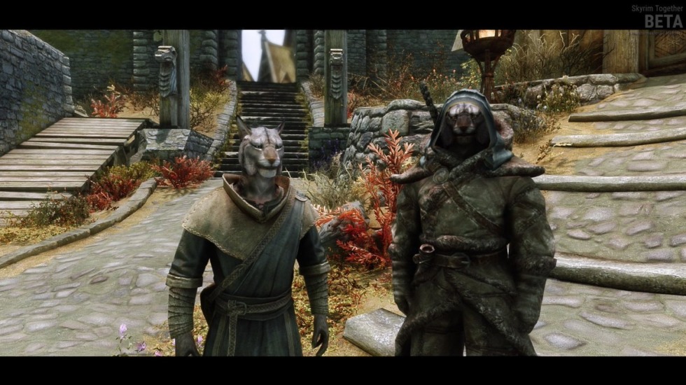 6 เกม Singleplayer ที่หลายคนอยากให้มี Multiplayer จนผู้เล่นต้องสร้างม็อดเอง 4 Skyrim 1
