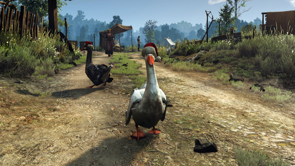 witcher geese