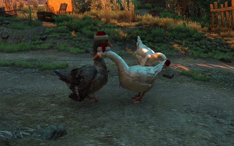 witcher geese2